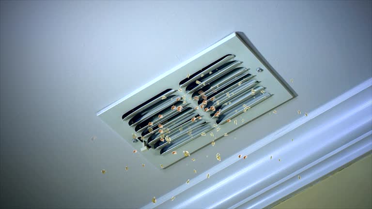 Air Duct Mold Removal in Alsip, IL